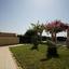 5 bedroom detached house for sale agios tychonas limassol 7739118 thumbnail 12813092