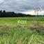 land for sale nikokleia paphos 1270118 thumbnail 5547452