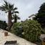 4 bedroom detached house for sale softades larnaca 8588218 thumbnail 15770979
