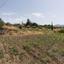 land for sale lythrodontas nicosia 8716218 thumbnail 16295179