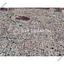 plot for sale agios dometios nicosia 7549218 thumbnail 14618402