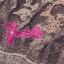 24201 SQM Land for sale in Agios Theodoros Larnacas, Larnaca thumbnail 15867288