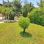 4 bedroom detached house for sale argaka paphos 833318 thumbnail 686839