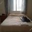 4 bedroom detached house for rent strovolos nicosia 8748418 thumbnail 16463791