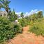 6 bedroom detached house for sale protaras famagusta 1236418 thumbnail 5597340