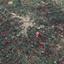 land for sale avgorou famagusta 1054418 thumbnail 16512116