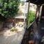 5 Bedroom Detached house for sale in Tochni, Larnaca thumbnail 13679185
