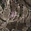 land for sale gerasa limassol 1802518 thumbnail 13097038