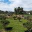 land for sale psevdas larnaca 826518 thumbnail 15603560