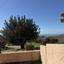 1 bedroom ground floor apartment for sale mesa chorio paphos 8186618 thumbnail 13623584