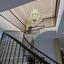 7 bedroom detached house for sale agioi trimithias nicosia 8742618 thumbnail 16405777