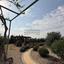7 bedroom detached house for sale agioi trimithias nicosia 8742618 thumbnail 16405794