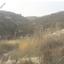 land for sale koilani limassol 826618 thumbnail 15603484