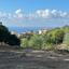 land for sale peyia paphos 8395618 thumbnail 16071300