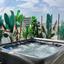 2 bedroom penthouse for sale mesa gitonia limassol 1519718 thumbnail 15809047