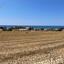 land for sale agios theodoros larnacas larnaca 1691718 thumbnail 6646305