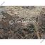 land for sale alampra nicosia 7788718 thumbnail 10426511