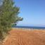 land for sale nea dimmata paphos 1355818 thumbnail 13009014