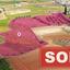 land sold palaiometocho nicosia 1368818 thumbnail 2819462