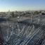 2 bedroom apartment for sale kato polemidia limassol 1735918 thumbnail 17636561