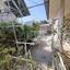 4 bedroom semi detached house for sale agios andreas nicosia nicosia 1896918 thumbnail 10550960