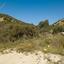 land for sale agios theodoros larnacas larnaca 1029028 thumbnail 15601916