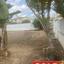 4 bedroom detached house sold aradippou larnaca 8746128 thumbnail 16439477
