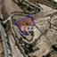 land for sale stroumbi paphos 1326128 thumbnail 5595356