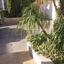 5 bedroom detached house for sale agios athanasios limassol 8744228 thumbnail 16419188