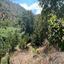land for sale galata nicosia 8716228 thumbnail 16295220