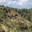 land for sale gerakies nicosia 8645228 thumbnail 16062363