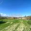 land for sale monagroulli limassol 1751228 thumbnail 5931750