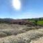 land for sale monagroulli limassol 1751228 thumbnail 5931762