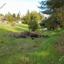 plot for sale kapedes nicosia 1061228 thumbnail 16168388
