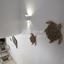 2 bedroom semi detached house for rent pervolia larnaca 8633328 thumbnail 16819776