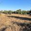 land for sale pera orinis nicosia 8793428 thumbnail 16700736