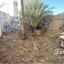 plot for sale nicosia walled old city nicosia 8209428 thumbnail 16837609