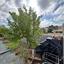 4 bedroom bungalow for sale emba paphos 8360528 thumbnail 15854604