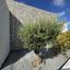 4 bedroom bungalow for sale emba paphos 8360528 thumbnail 15854628