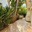 5 bedroom detached house for rent strovolos nicosia 8946528 thumbnail 17713565