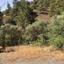land for sale kalo chorio lemesou limassol 927528 thumbnail 15600859