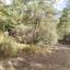 land for sale lysos paphos 8629528 thumbnail 16685409
