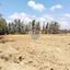 land for sale mandria pafou paphos 1511528 thumbnail 14841788