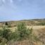 land for sale pentalia paphos 7805528 thumbnail 15596350