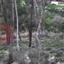 plot for sale psevdas larnaca 7921528 thumbnail 11218702