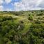land for sale theletra paphos 7609628 thumbnail 15597329