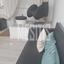 studio showroom for rent nicosia municipality nicosia 8772628 thumbnail 16601292