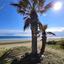 3 bedroom ground floor apartment for sale xylotymvou larnaca 1445728 thumbnail 9320257