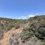 land for sale monagroulli limassol 9006728 thumbnail 18383706