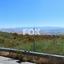 land for sale theletra paphos 1160728 thumbnail 10031148
